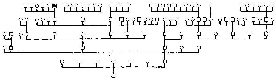 Stammtafel